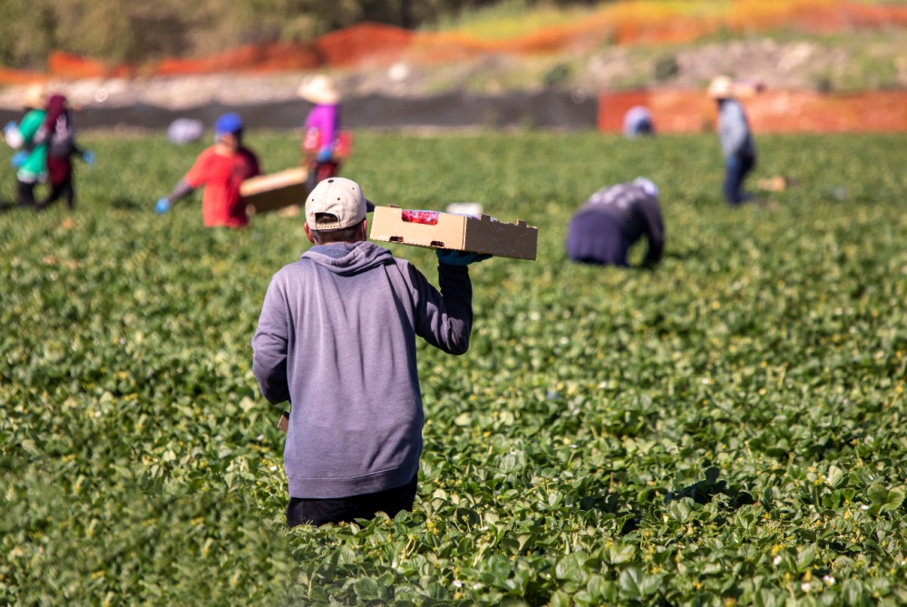 ¿Pueden los trabajadores indocumentados denunciar violaciones de las leyes salariales y horarias?